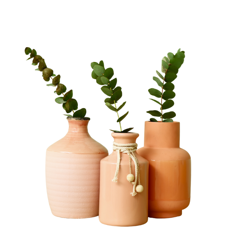 vase eucalyptus